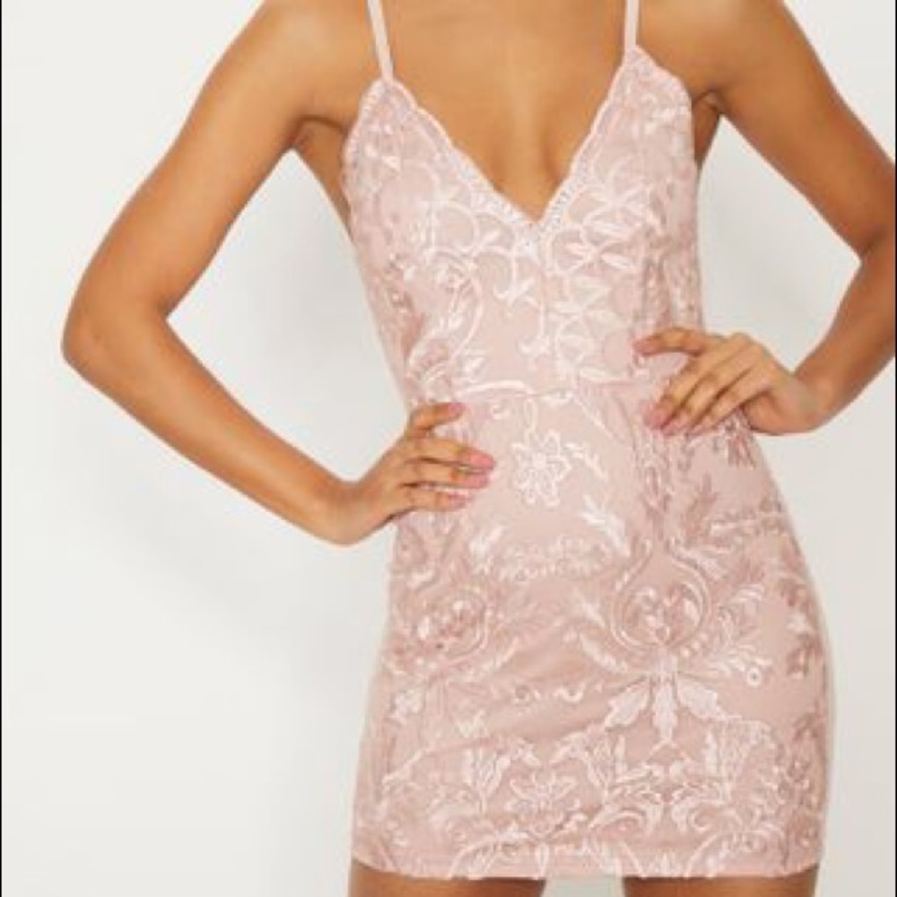 Dusty Pink Embroidered Lace Dress